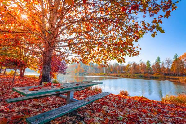 fit-durch-den-herbst.jpg
